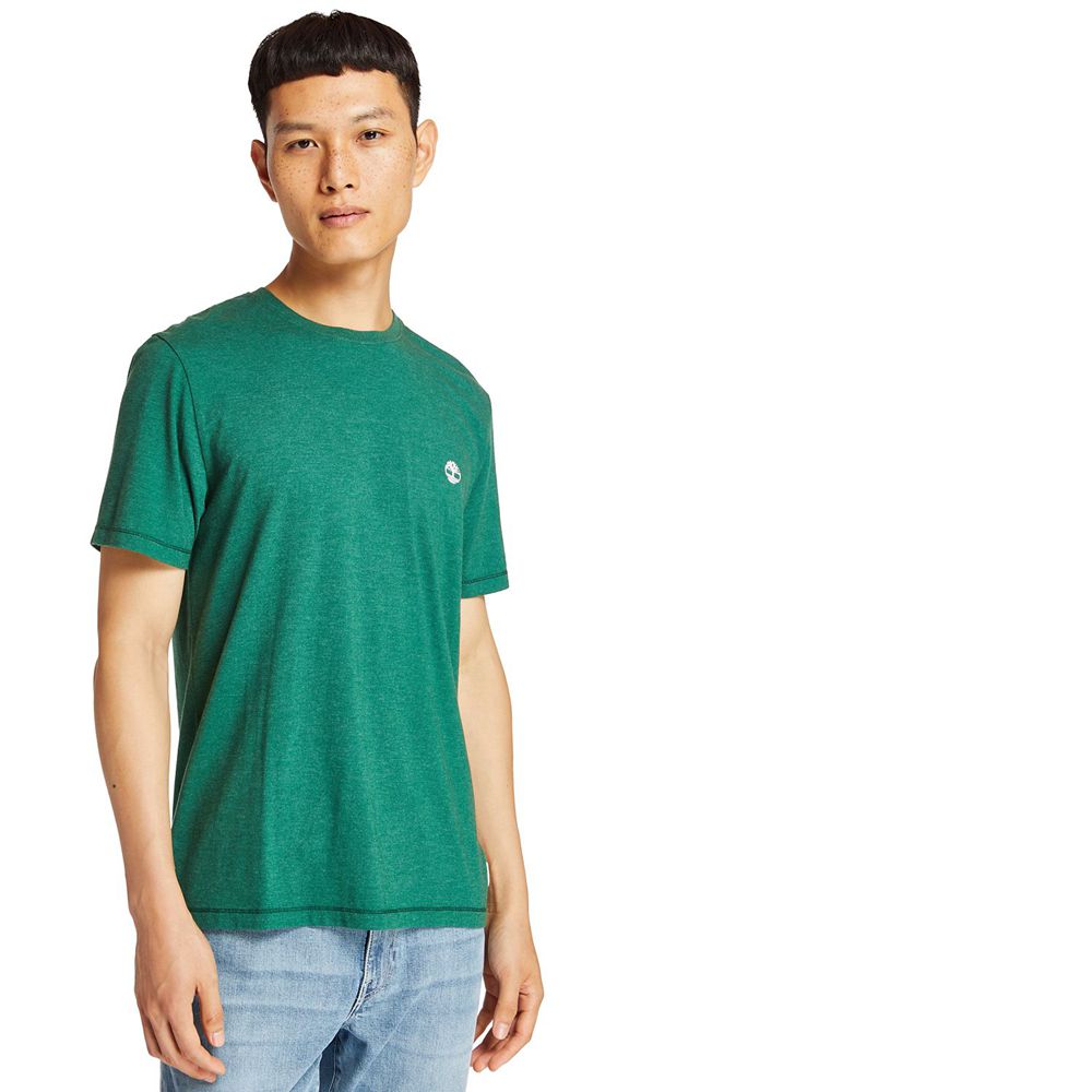 Camisetas Masculino - Timberland Mohawk River Jersey - WEFOV1509 - Verdes